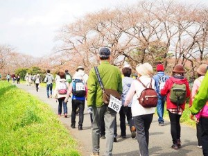 12524386_981101085317471_44881155484127703_n