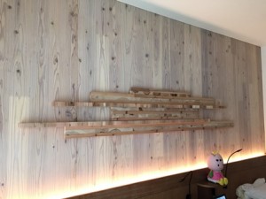 写真 2016-06-11 9 15 37